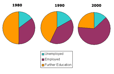 Pie graph essay sample