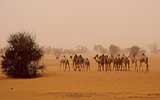 IELTS test in Sudan