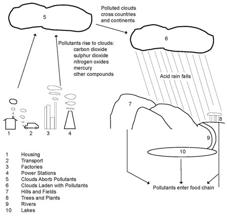 Process diagram describing the cycle of pollution (from IELTS High Scorer's Choice series, Academic Set 1 book)